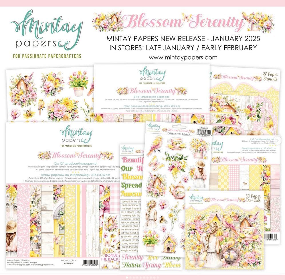 MINTAY - MINTAY PAPERS - MAREMI - CRAFT OCLOCK - STAMPERIA - SCRAPBOYS - 4.JPG