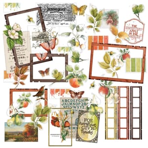 "49 And Market - Vintage Orchard Acetate Assortment Set
"