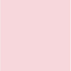 Bazzill: Canvas - Pink Cloud